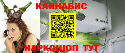 стафф Краснознаменск