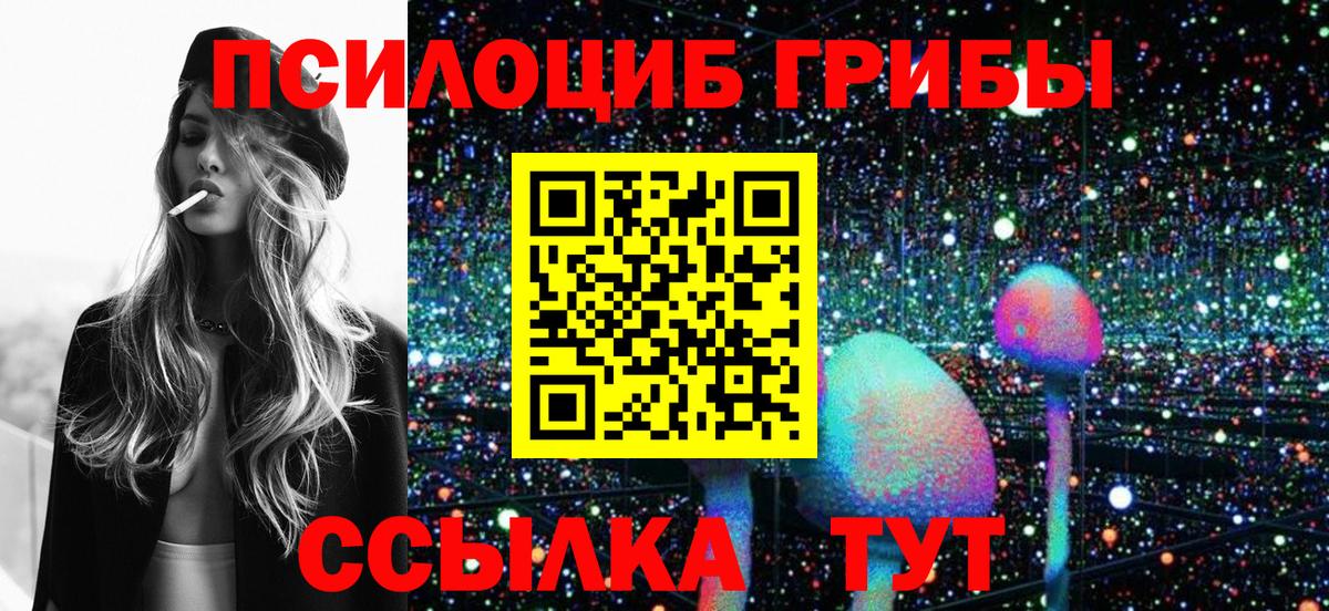 Псилоцибиновые грибы мухоморы  где продают наркотики  Кизилюрт  Псилоцибиновые грибы Cubensis  Вход с VPN 